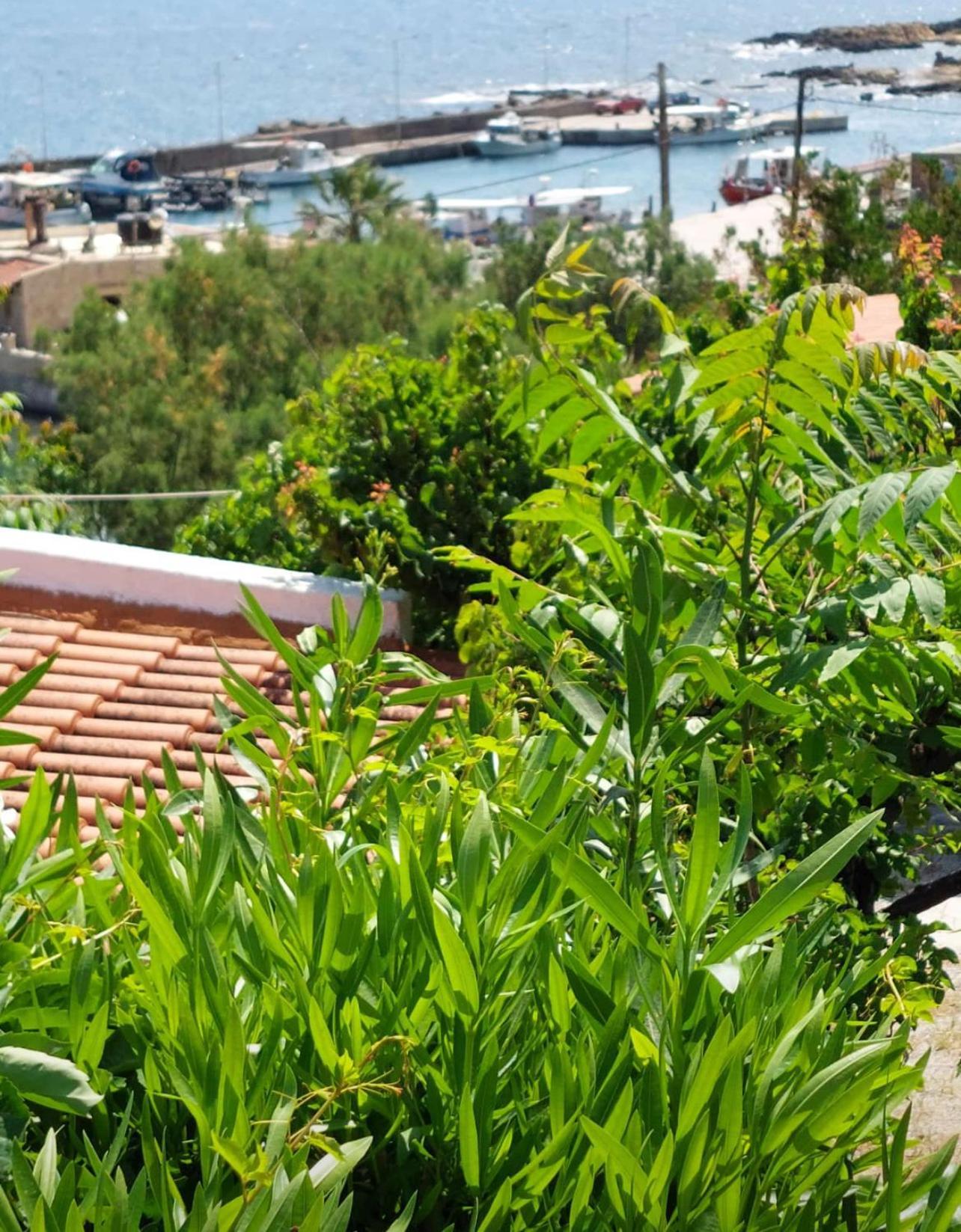Villas Vista Del Mar Kíssamos Exteriér fotografie